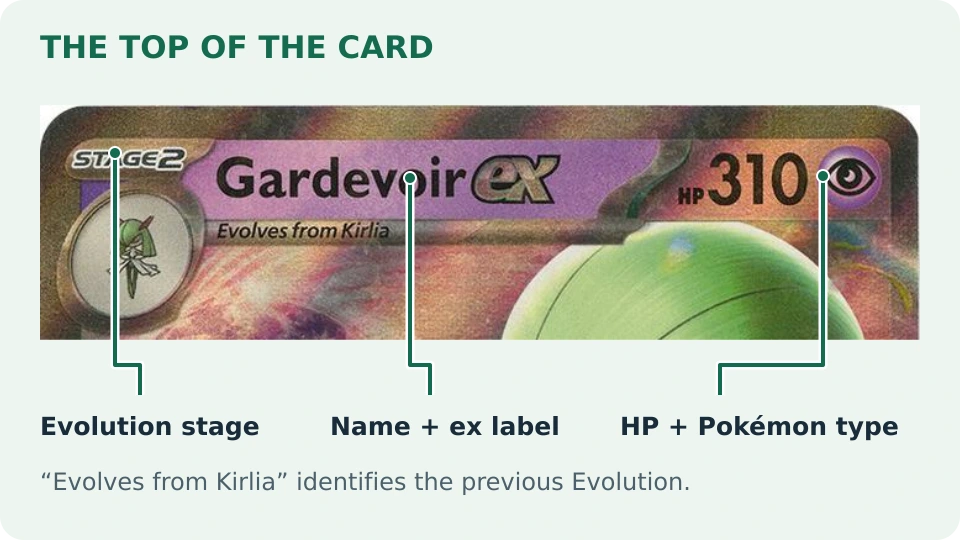 Enlarged top of Gardevoir ex showing Stage 2, Evolves from Kirlia, the Gardevoir ex name, 310 HP and the Psychic-type symbol.