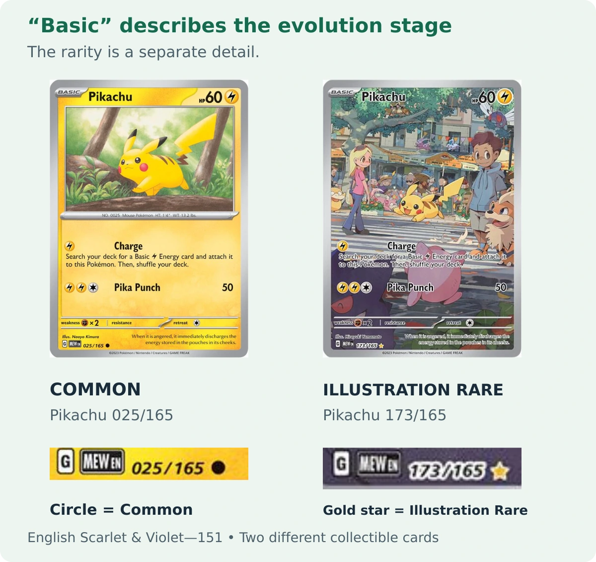 Two English 151 Pikachu cards side by side. Both are Basic Pokémon: 025/165 is Common, while 173/165 is an Illustration Rare with different artwork and a different collector number.